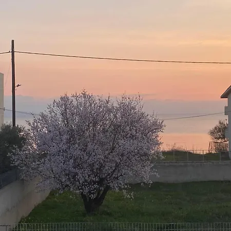 Daire Deep Blue Corinth